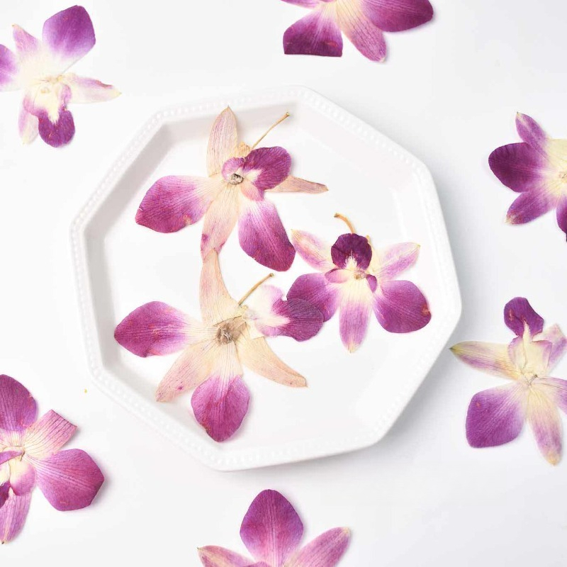 Art Craft For 3 Year Old - 4 pièces, véritables fleurs d'orchidée papillon