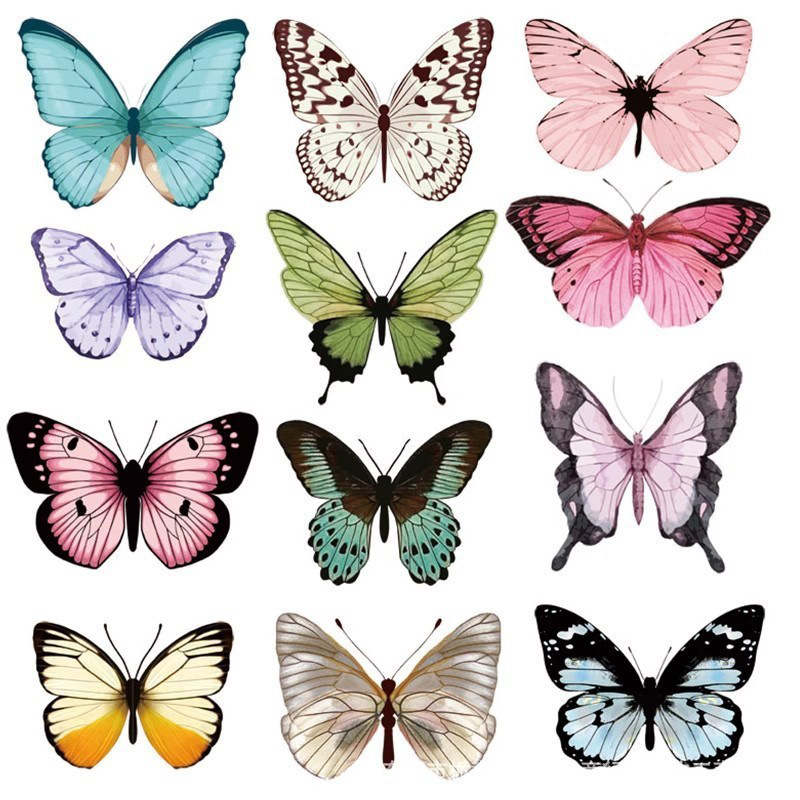 12 pièces 3D papillon Stickers - Art Craft Event avis et prix